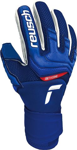 Reusch Attrakt Gold X d.blue/d.blue